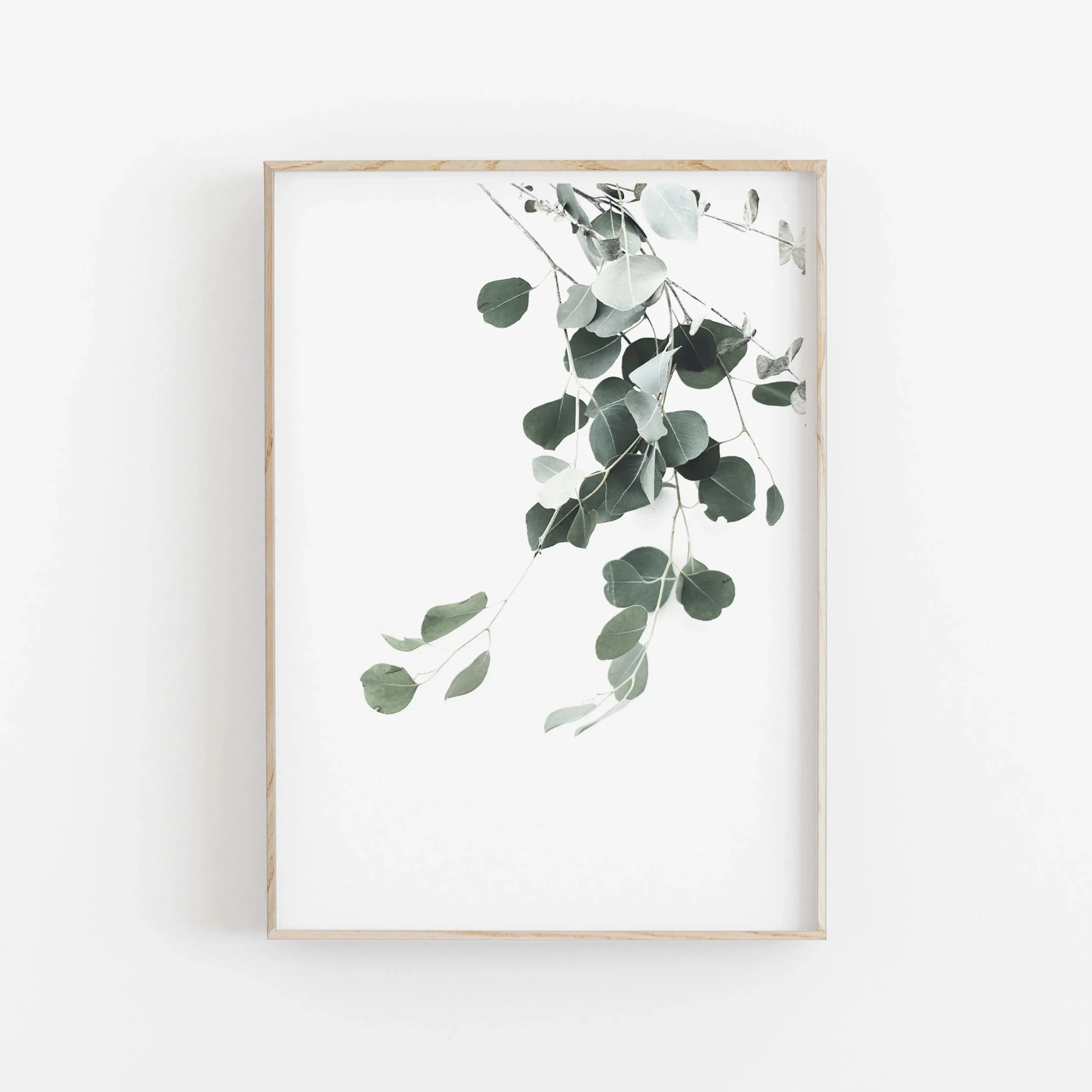 Minimalistyczny plakat botaniczny eukaliptus i palma Burgundia