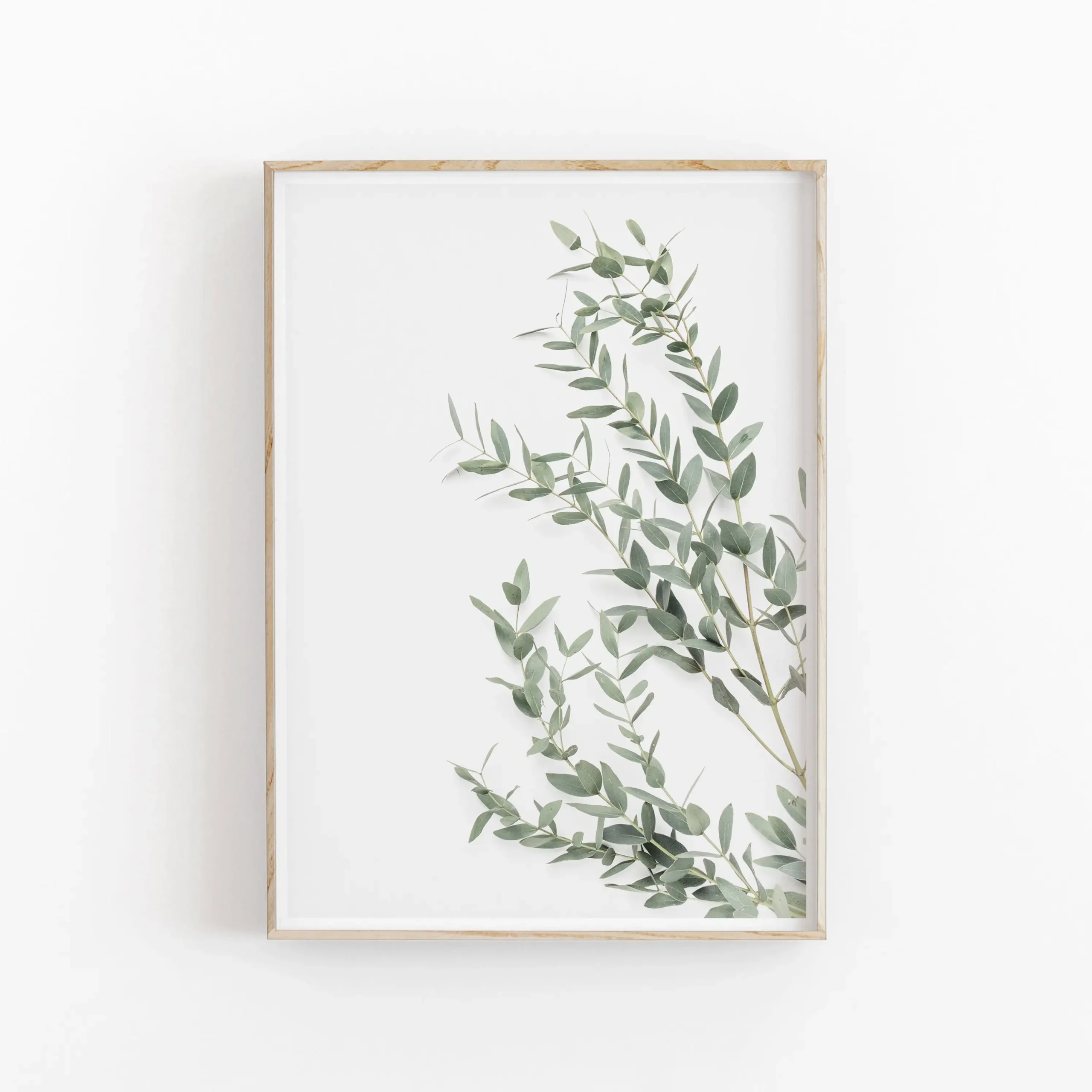 Minimalistyczny plakat botaniczny eukaliptus i palma Jasnoszary