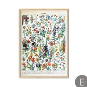 Grzyby i zioła - botaniczny plakat vintage Fioletowy