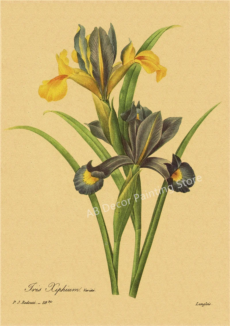 53 rodzaje kwiatów - botaniczny plakat retro Ciemny szary