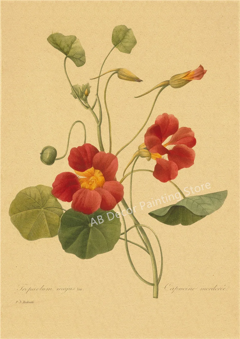 53 rodzaje kwiatów - botaniczny plakat retro Czarny