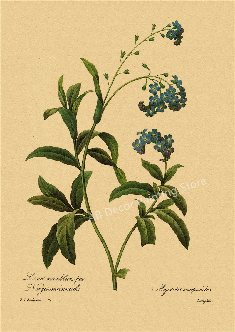 53 rodzaje kwiatów - botaniczny plakat retro Fioletowy