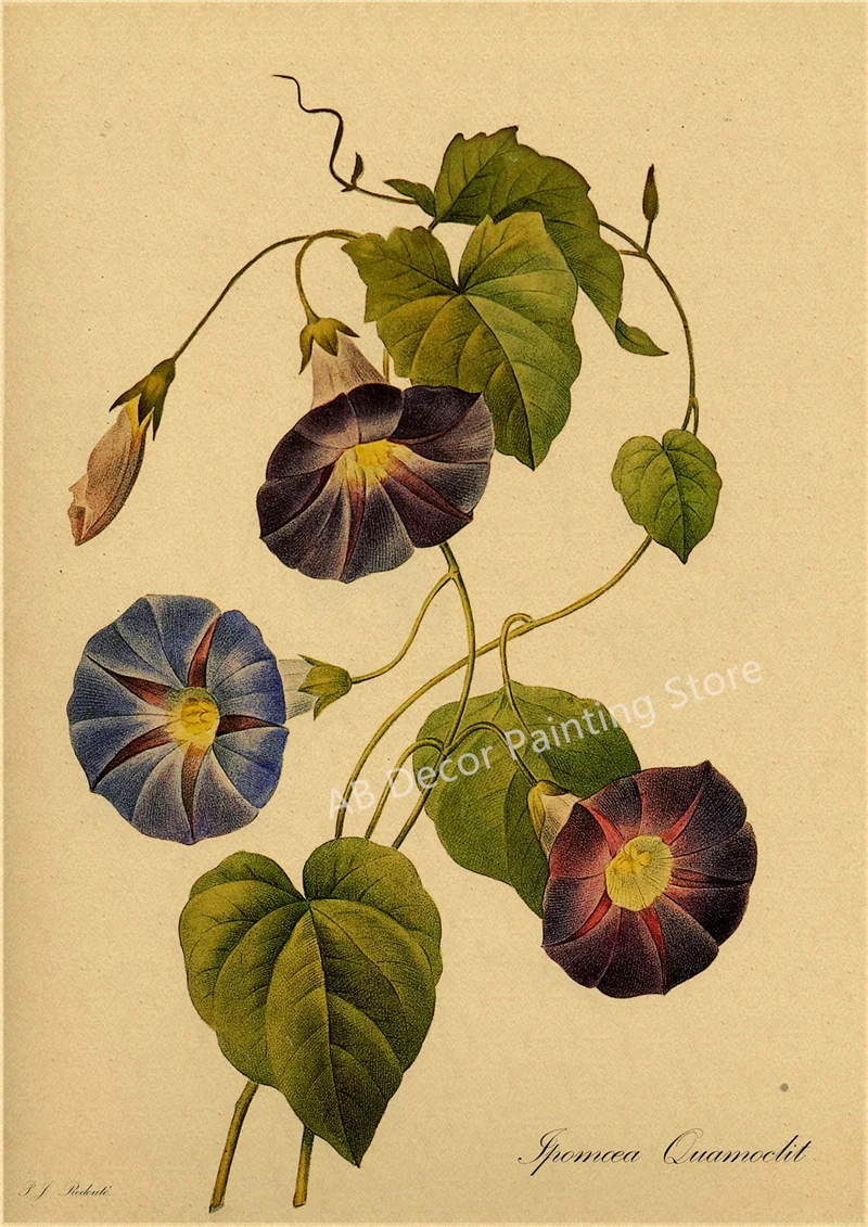 53 rodzaje kwiatów - botaniczny plakat retro Granatowy