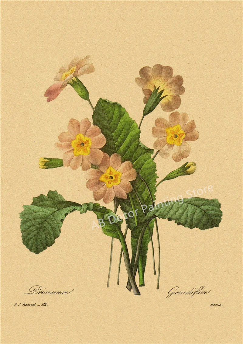 53 rodzaje kwiatów - botaniczny plakat retro Niebieski