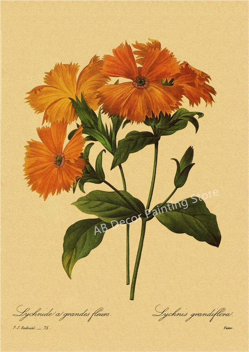 53 rodzaje kwiatów - botaniczny plakat retro Zielony