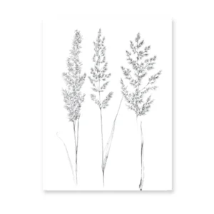 Plakat botaniczny line art - roślina jedną linią Wzór 1