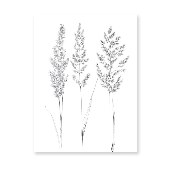 Plakat botaniczny line art - roślina jedną linią Wzór 1