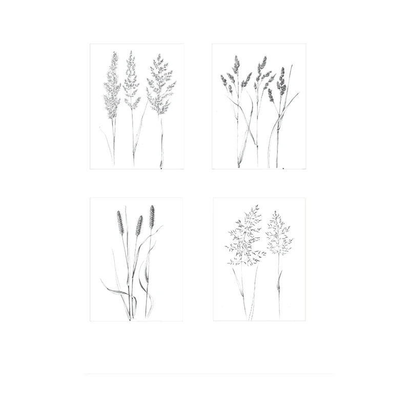 Plakat botaniczny line art - roślina jedną linią Wzór 3