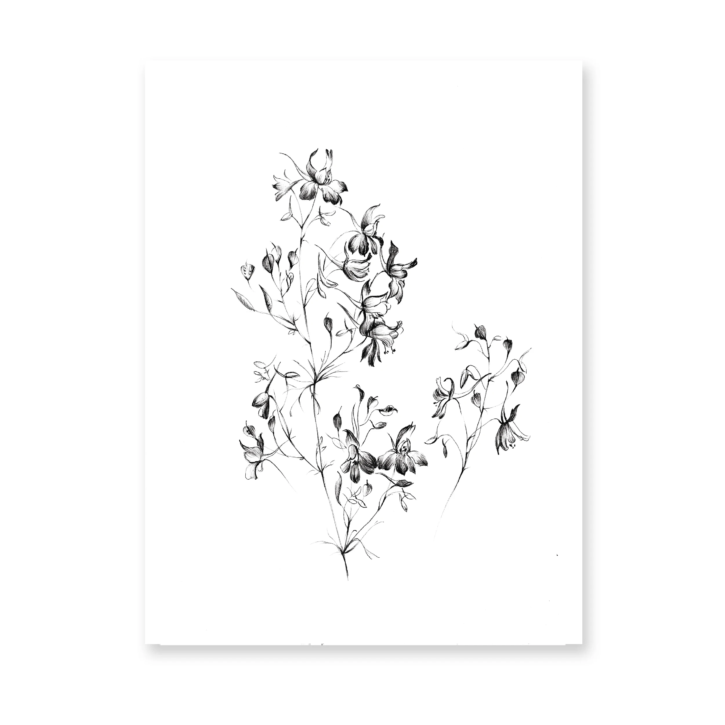 Plakat botaniczny line art - roślina jedną linią Wzór 4