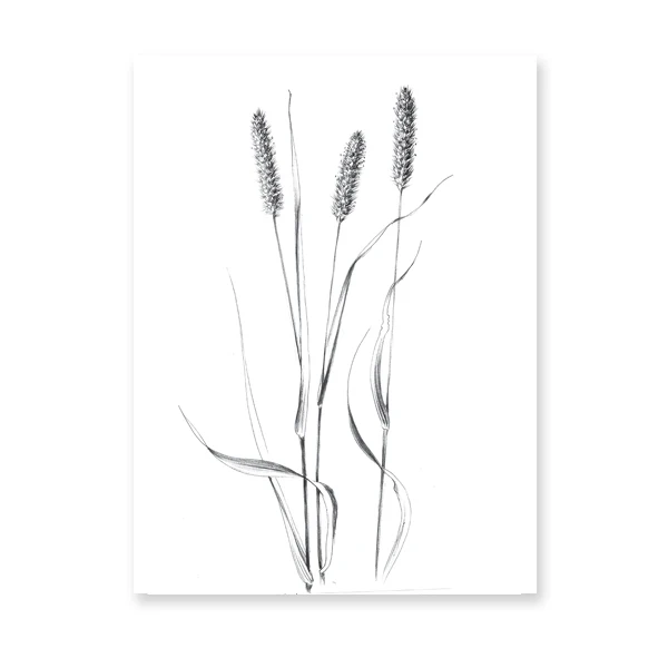Plakat botaniczny line art - roślina jedną linią Wzór 5