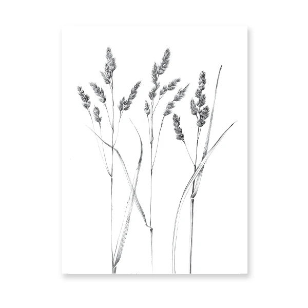 Plakat botaniczny line art - roślina jedną linią Wzór 7