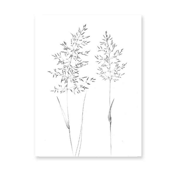 Plakat botaniczny line art - roślina jedną linią Wzór 8