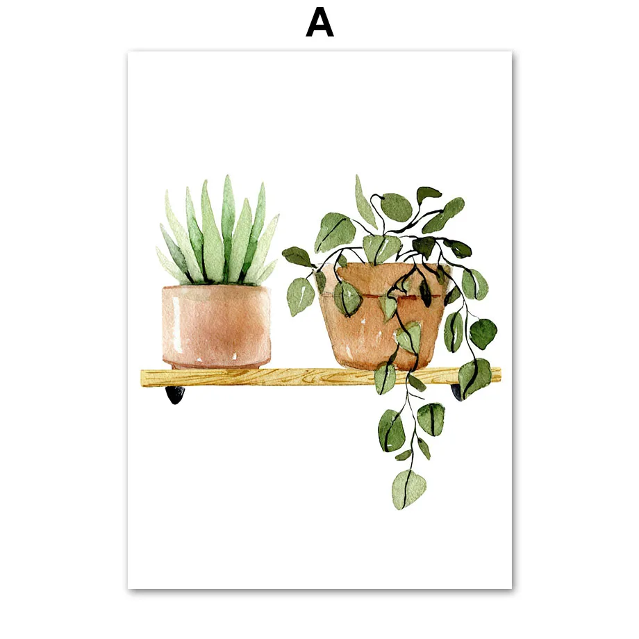 Plakat botaniczny z roślinami i monsterą Wzór 2