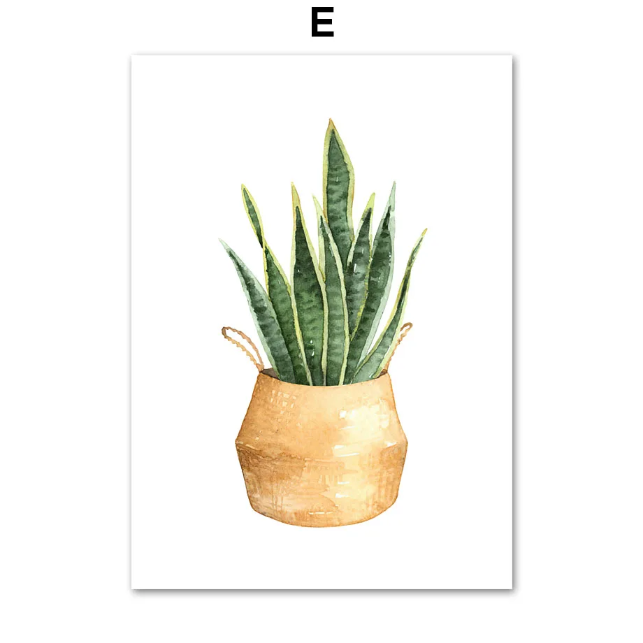 Plakat botaniczny z roślinami i monsterą Wzór 5