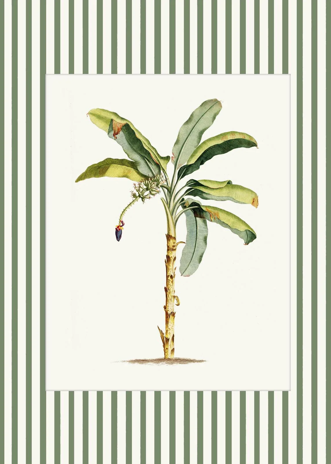 Botaniczny plakat z piwonią i paprociami Granatowy