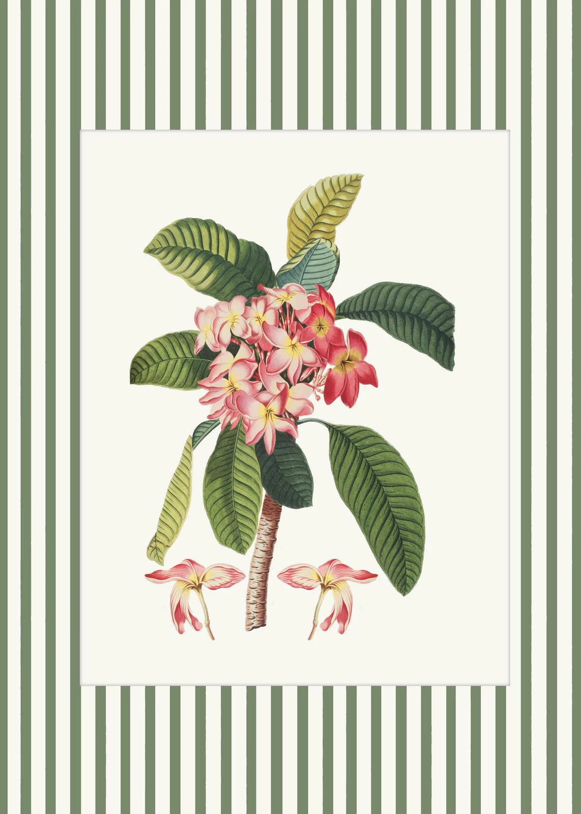 Botaniczny plakat z piwonią i paprociami Niebieski