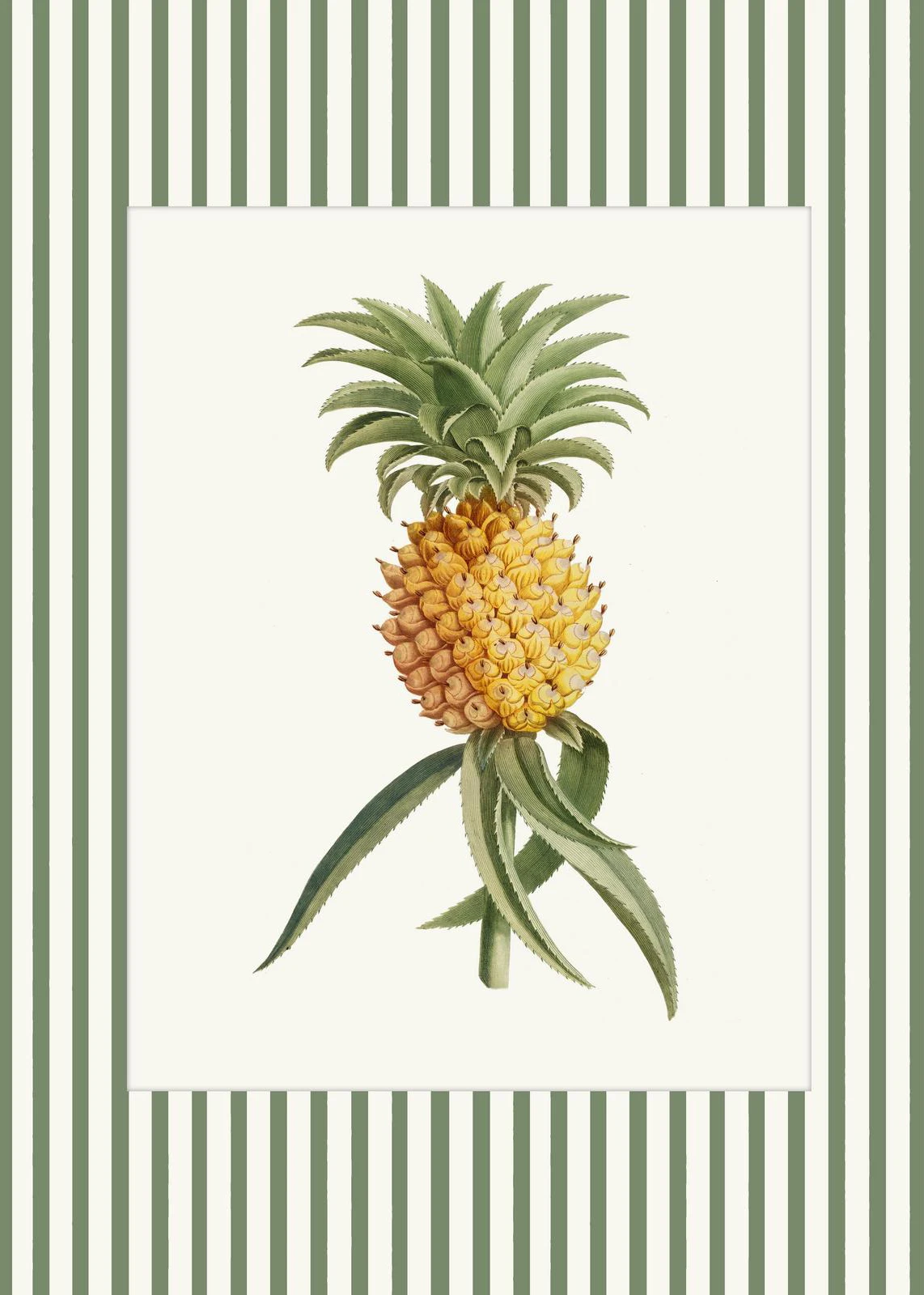 Botaniczny plakat z piwonią i paprociami Zielony