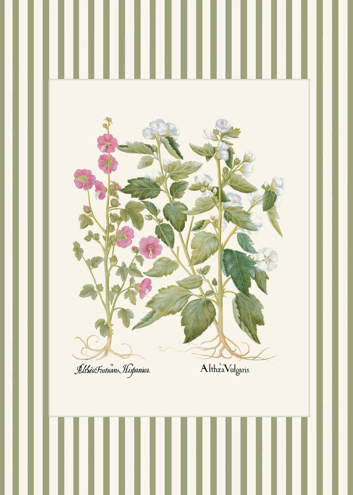 Botaniczny plakat z piwonią i paprociami żółty