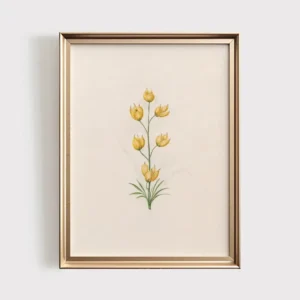 Plakat botaniczny z polnymi kwiatami vintage Wzór 1