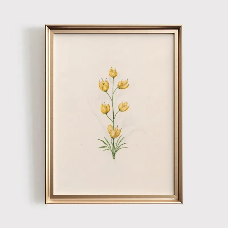 Plakat botaniczny z polnymi kwiatami vintage Wzór 1