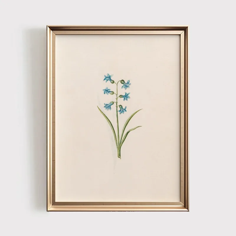 Plakat botaniczny z polnymi kwiatami vintage Wzór 2