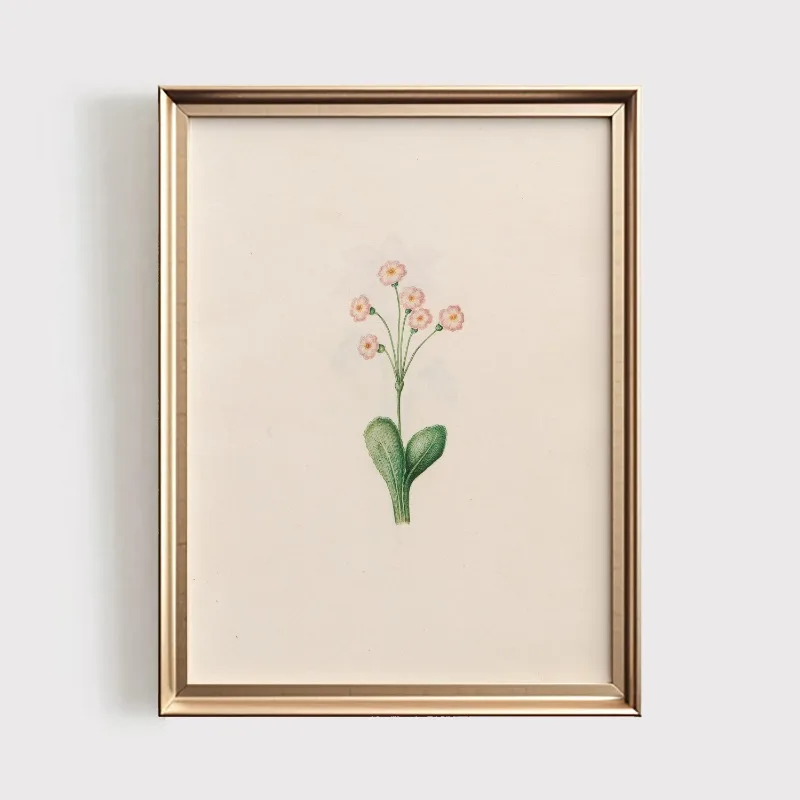 Plakat botaniczny z polnymi kwiatami vintage Wzór 6