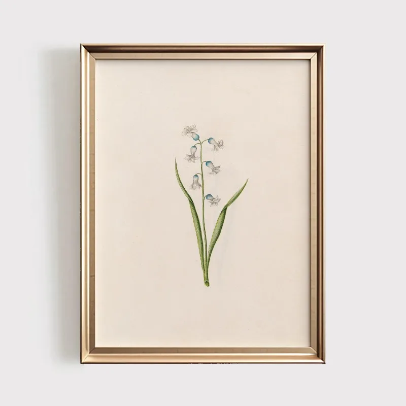 Plakat botaniczny z polnymi kwiatami vintage Wzór 7