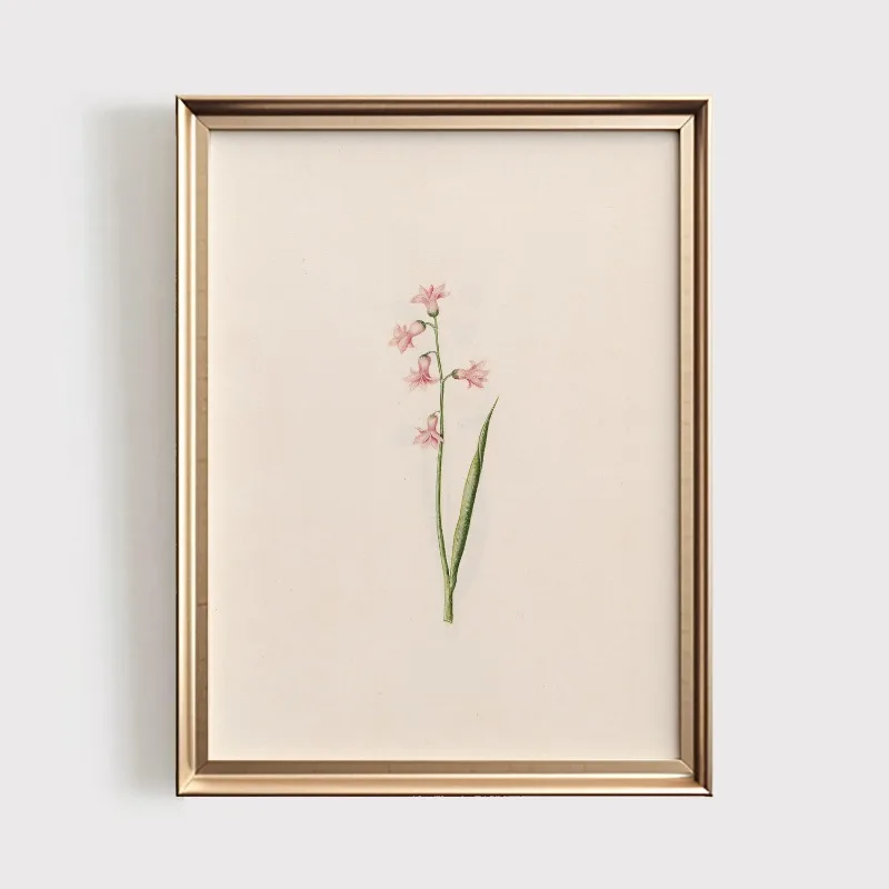 Plakat botaniczny z polnymi kwiatami vintage Wzór 8