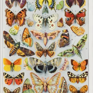Plakat Botaniczny Vintage Grzyby Owady Warzywa Jasnozielony