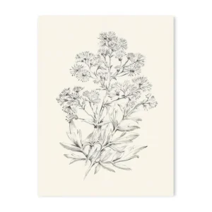 Plakat botaniczny vintage - liście i kwiaty Wzór 1