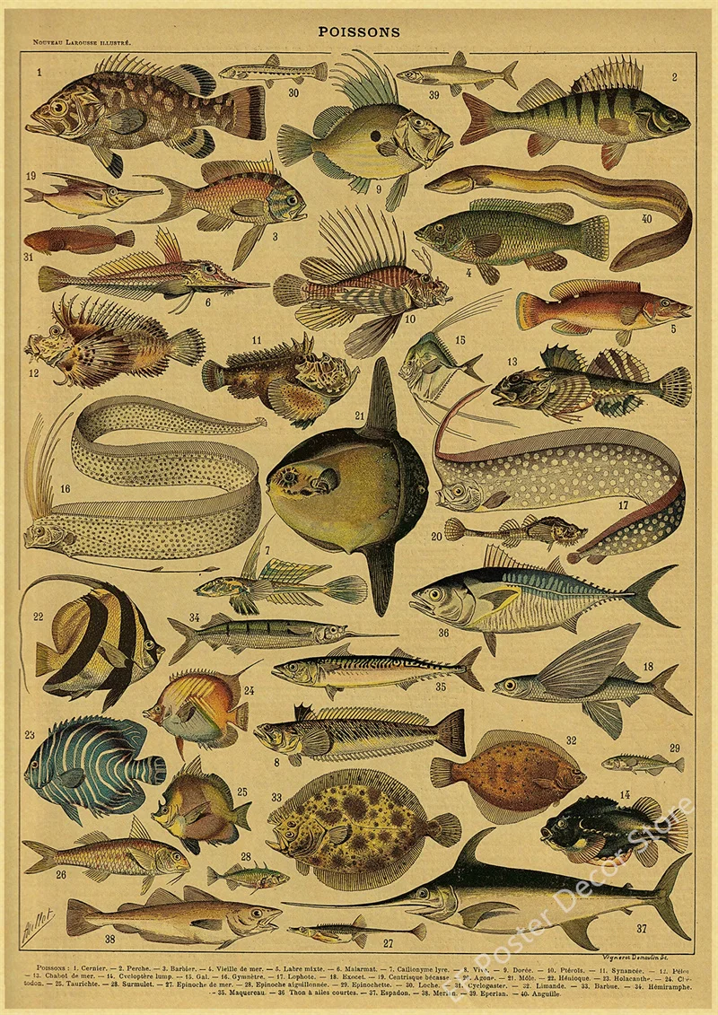 Botaniczna ilustracja vintage - plakat z ptakiem i kwiatami Wzór 6