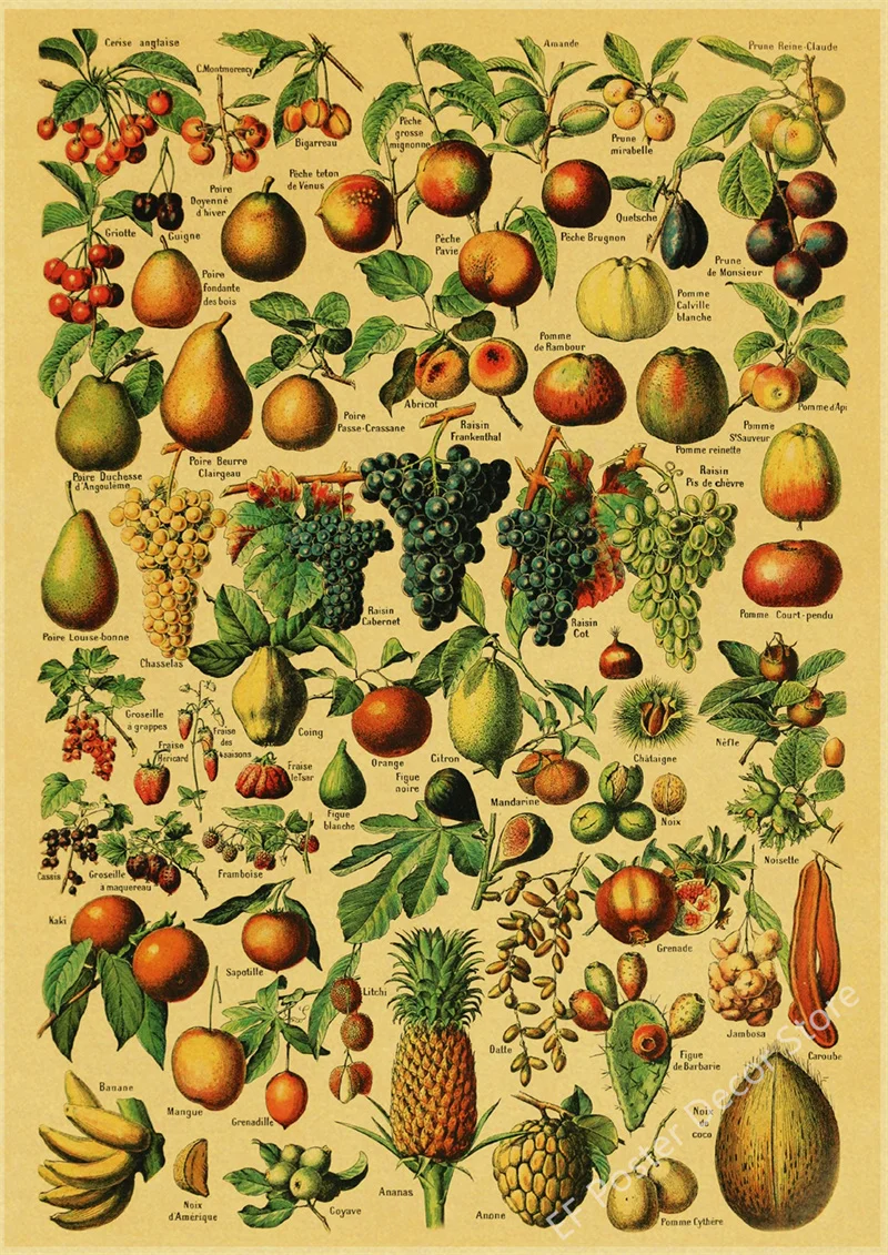 Botaniczna ilustracja vintage - plakat z ptakiem i kwiatami Wzór 7