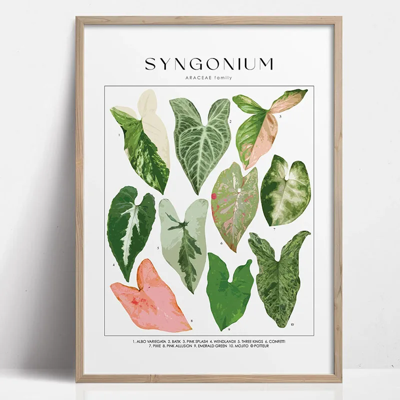 Plakat botaniczny - zielone liście roślin Wzór 3