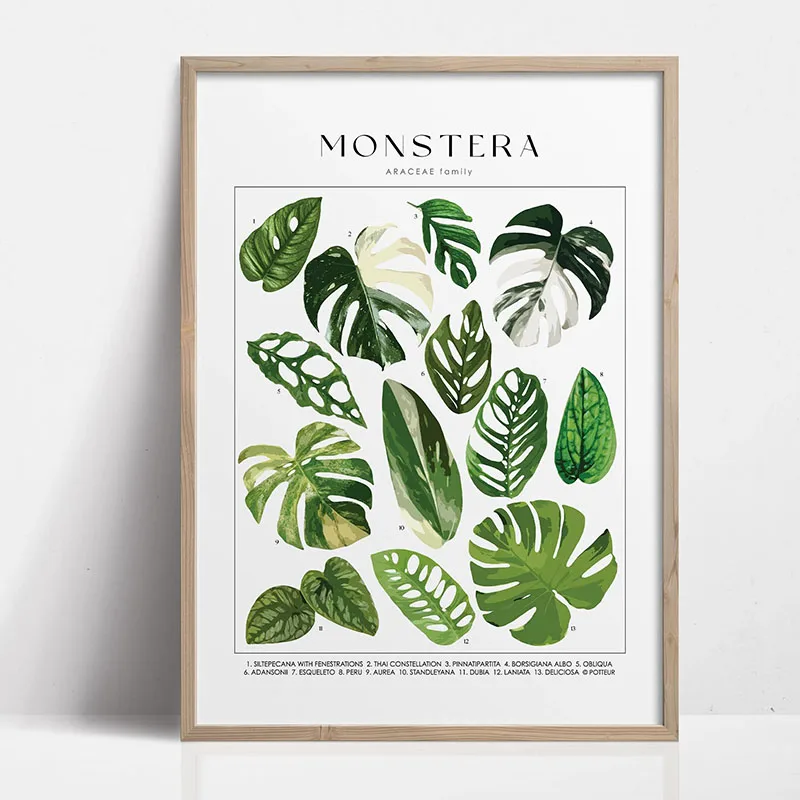 Plakat botaniczny - zielone liście roślin Wzór 4
