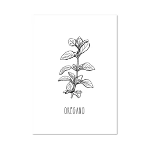Plakat Botaniczny Zioła do Kuchni Vintage Wzór 1