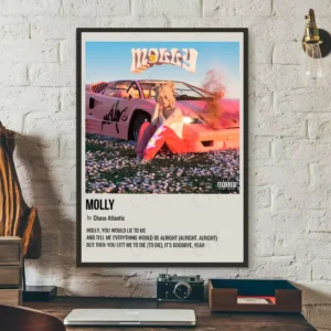 Plakat Chase Atlantic - okładka albumu Ciemnoszary