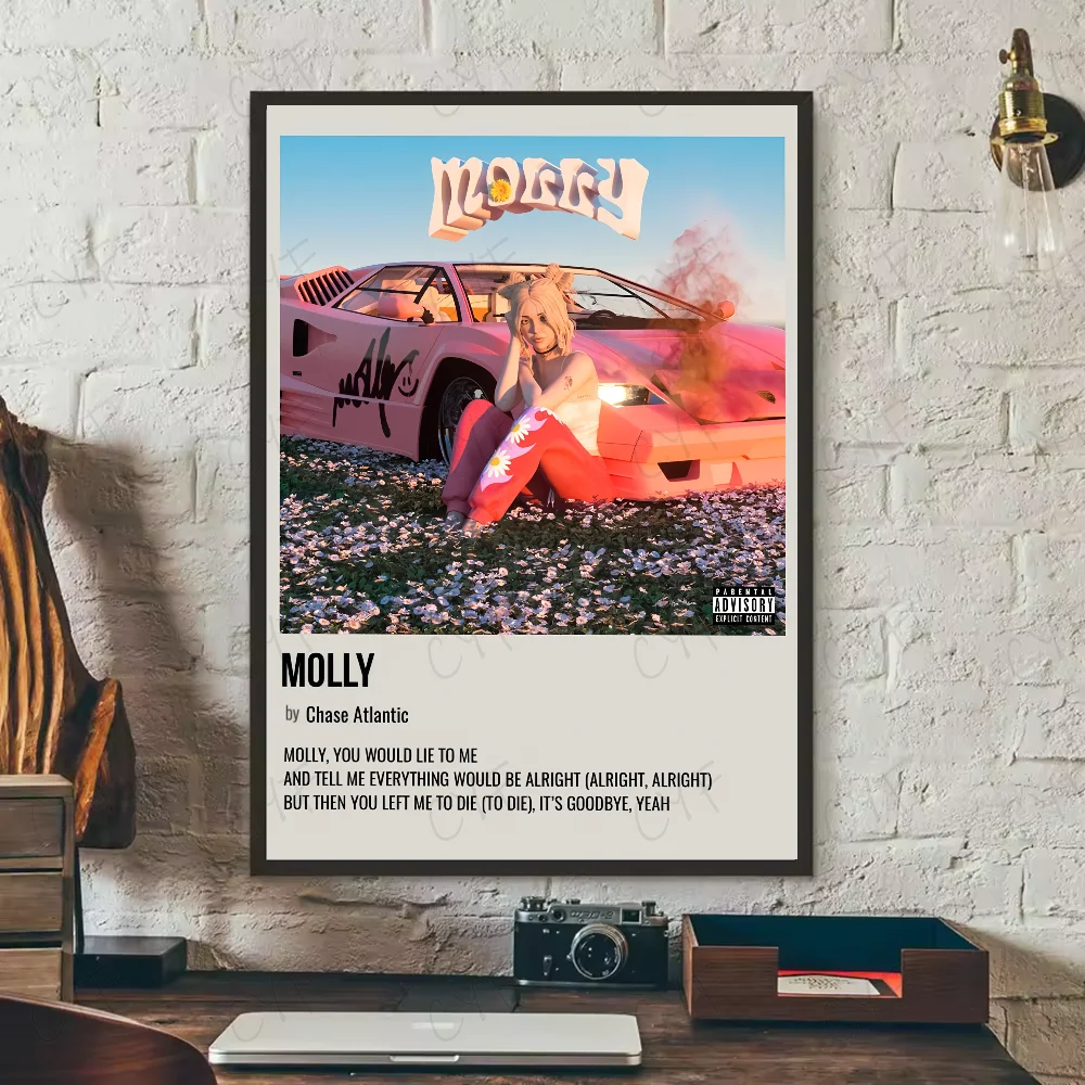Plakat Chase Atlantic - okładka albumu Ciemnoszary