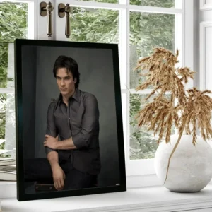 Plakat Damon Salvatore Wzór 1