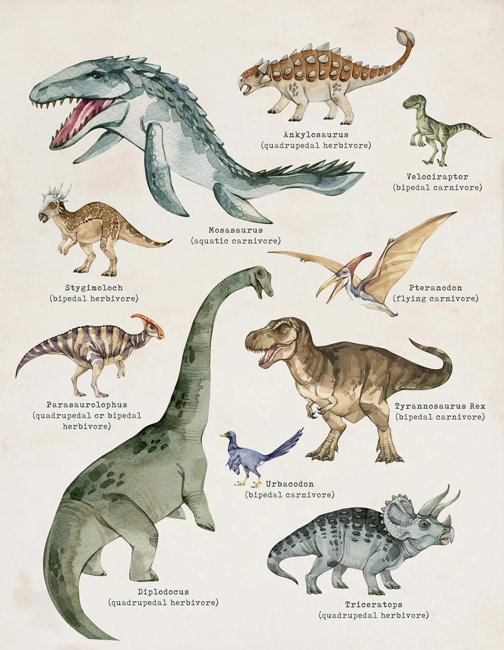 Plakat dinozaur dla dzieci - tyranozaur Czerwony