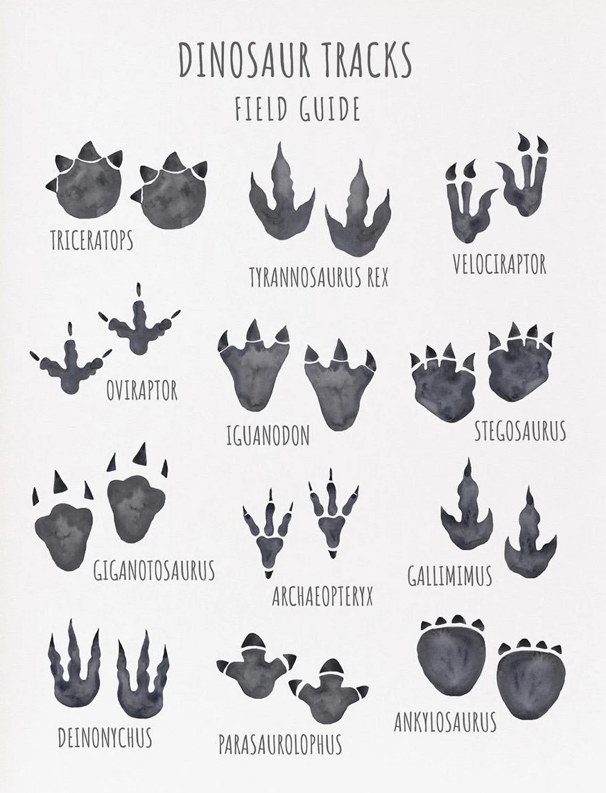 Plakat dinozaur dla dzieci - tyranozaur Fioletowy