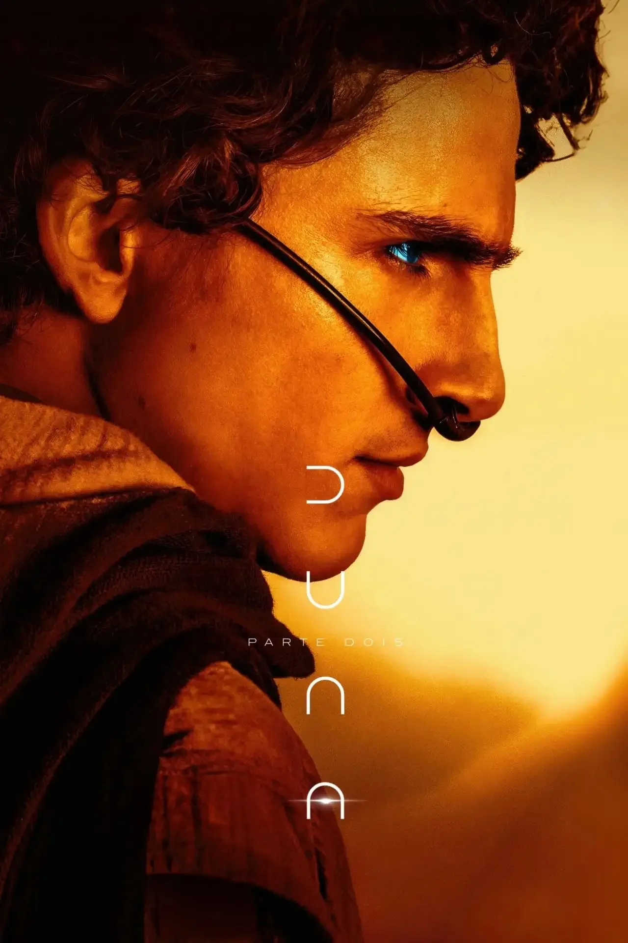 Plakat Diuna Część 2 - film sci-fi Wzór 7