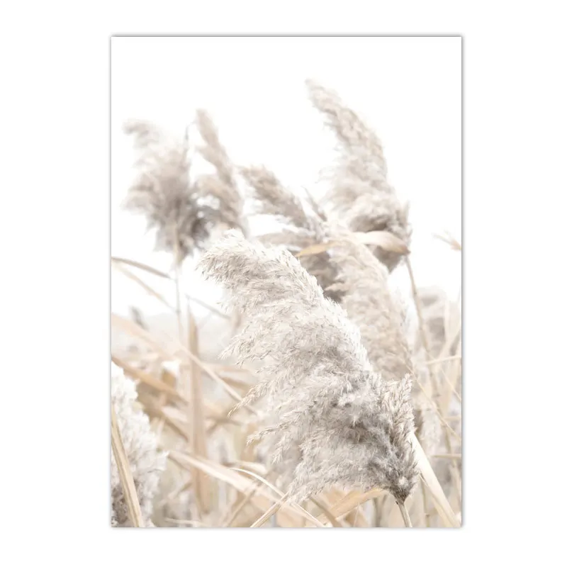 Plakat dmuchawce - beżowa grafika botaniczna Brązowy