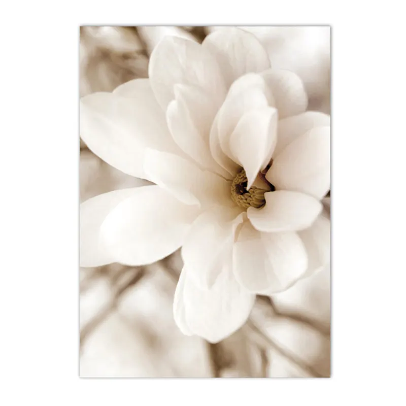 Plakat dmuchawce - beżowa grafika botaniczna Khaki