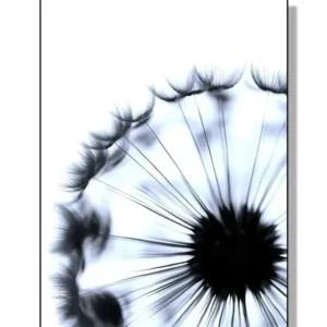 Plakat dmuchawiec - minimalistyczna grafika roślinna Wzór 1