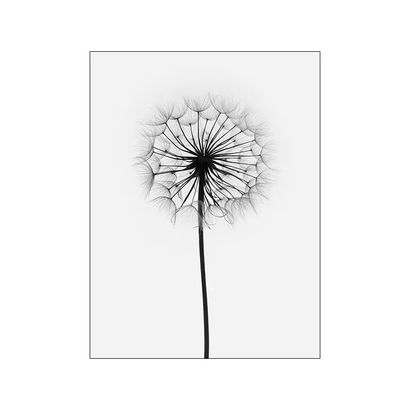 Plakat dmuchawiec - minimalistyczna abstrakcja Burgundia