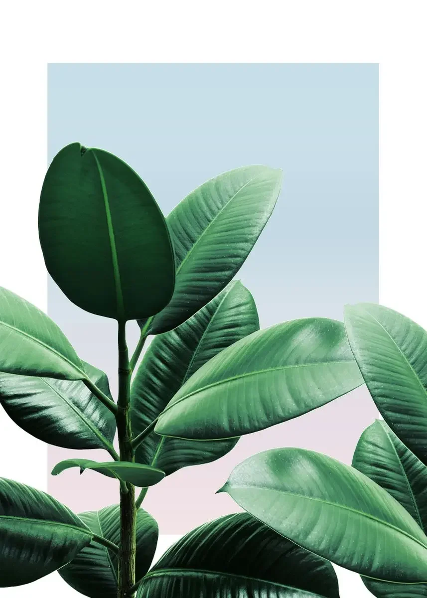 Plakat botaniczny do łazienki z napisem Get Naked Wzór 1