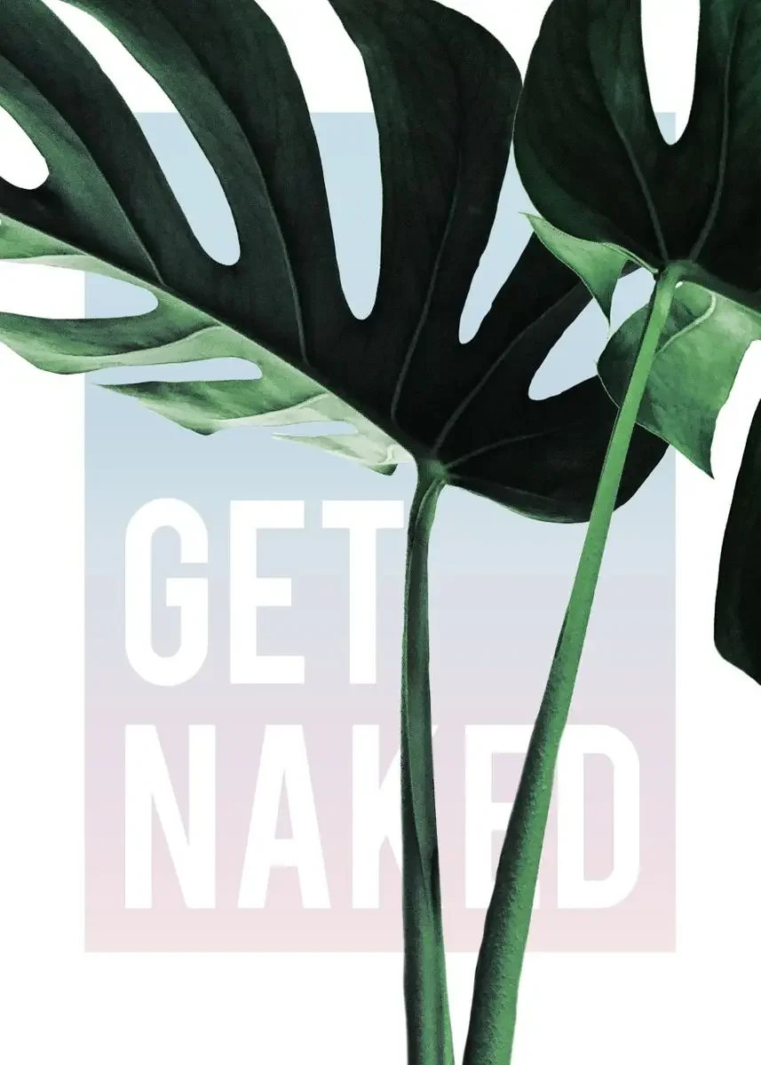 Plakat botaniczny do łazienki z napisem Get Naked Wzór 10