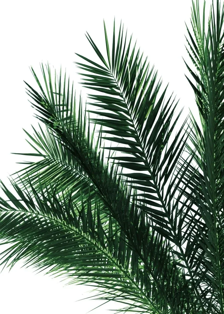 Plakat botaniczny do łazienki z napisem Get Naked Wzór 6