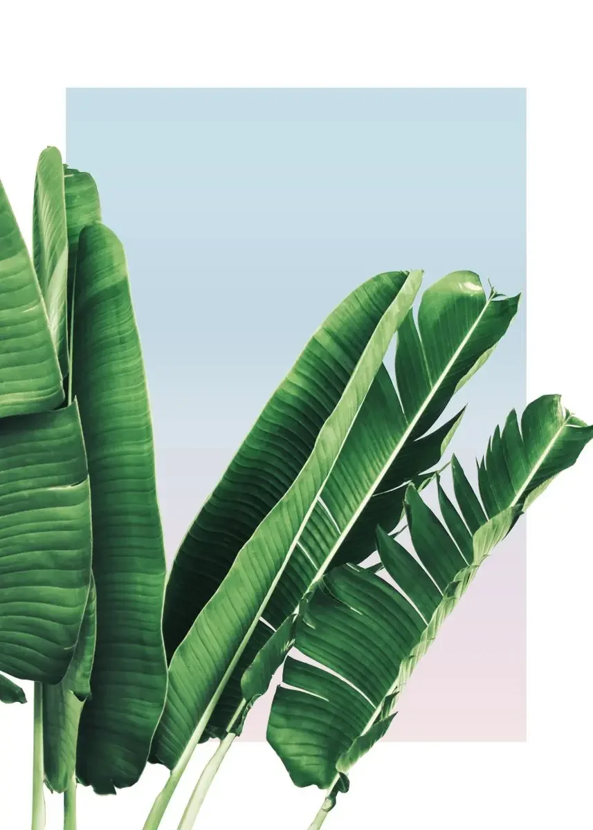Plakat botaniczny do łazienki z napisem Get Naked Wzór 8