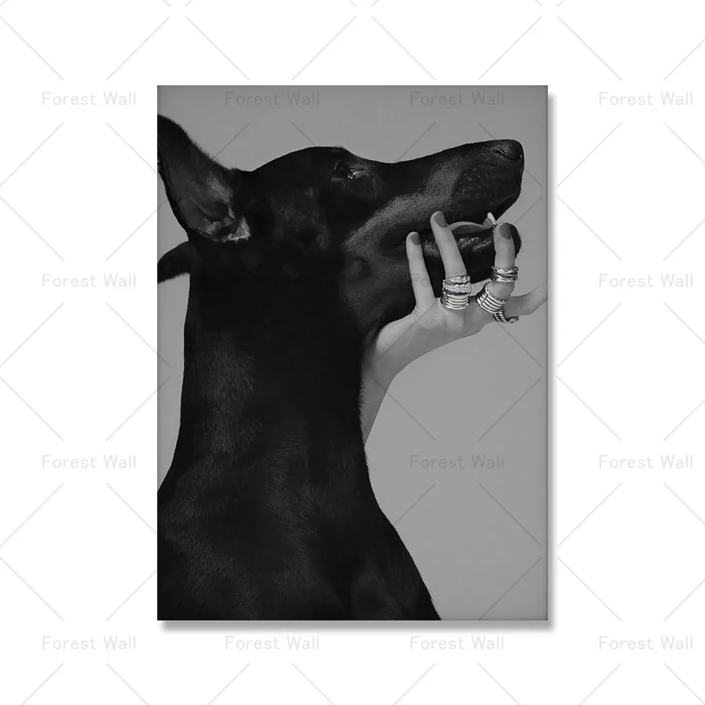 Plakat Doberman hypebeast - czarno-biały Wzór 7